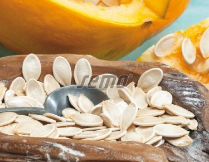 Semo Tekvica veľkoplodá Gurman (SM 396/19)