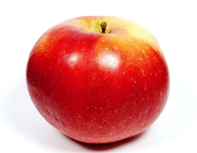 Jabloň ´Idared´ zimná, podp. A2, kont. 5l