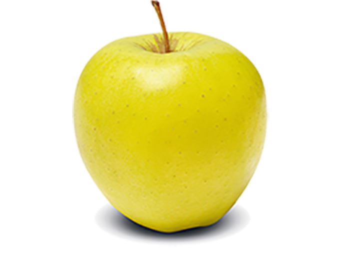 Jabloň ´Golden Delicious´ zimná, podp. M9, voľnok