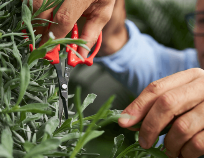 FELCO 420 Presne zastrihávacie nožnice