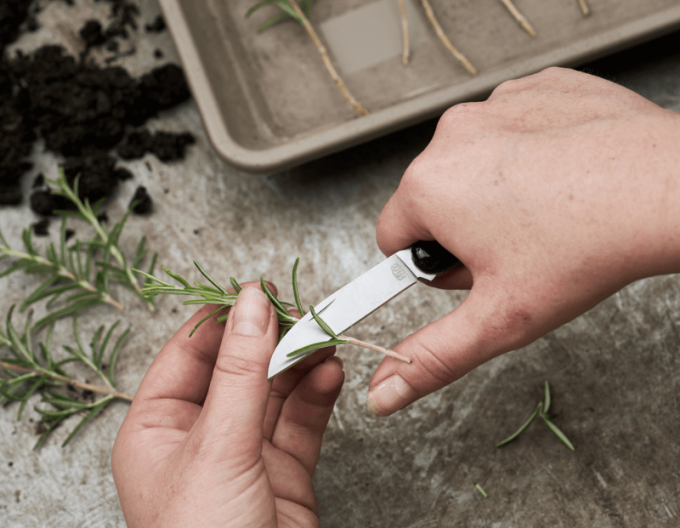 FELCO 520 Floristický nôž