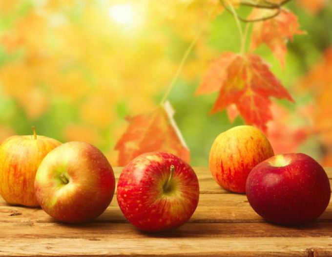 Jabloň "Jonathan" zimná, podpn. M9, voľnok.