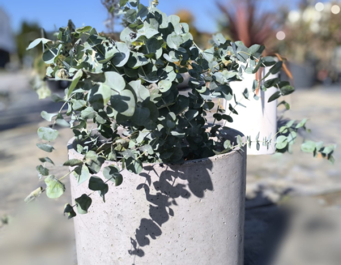 Kvetináč Terratico Fusion Essen S Silver