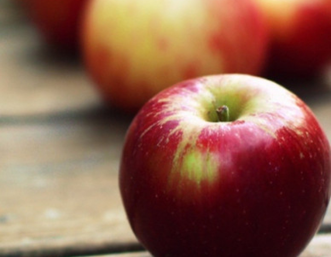 Jabloň ´Gala´ zimná, podp. MM106, voľnok.