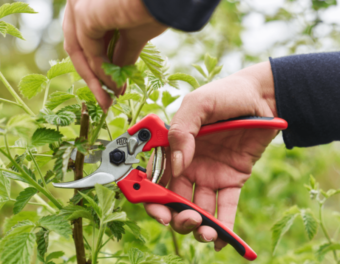 FELCO 171M Nožnice + FELCO 902 brúska