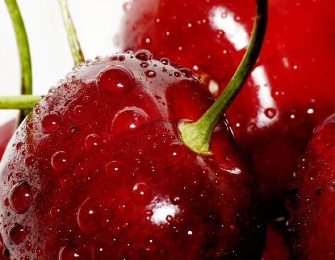 Čerešňa ´KORDIA´ neskorá, podp. Colt, voľnok.