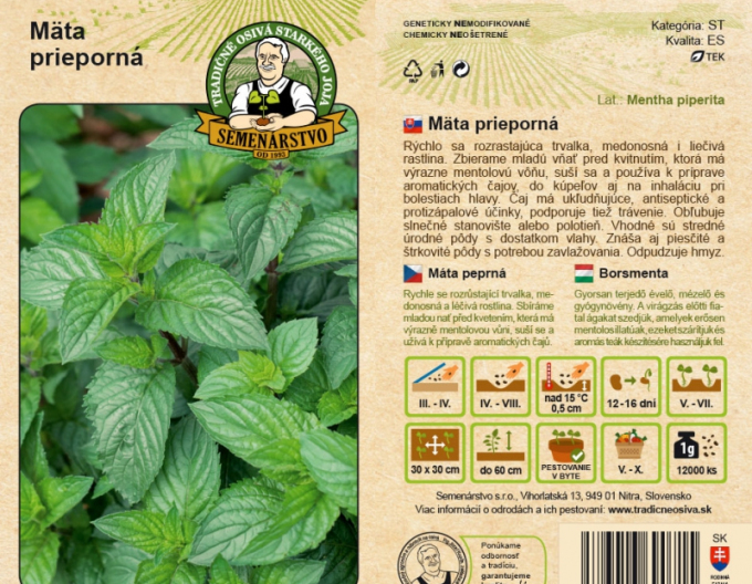 Semenárstvo Mäta prieporná