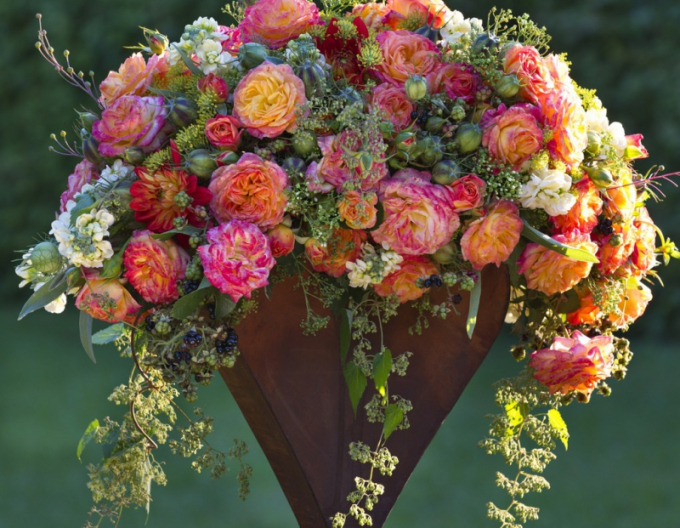 Ruža ´Gartenspass´