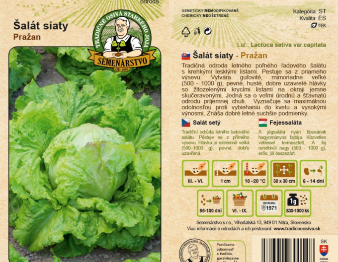 Semenárstvo Šalát siaty ´Pražan´